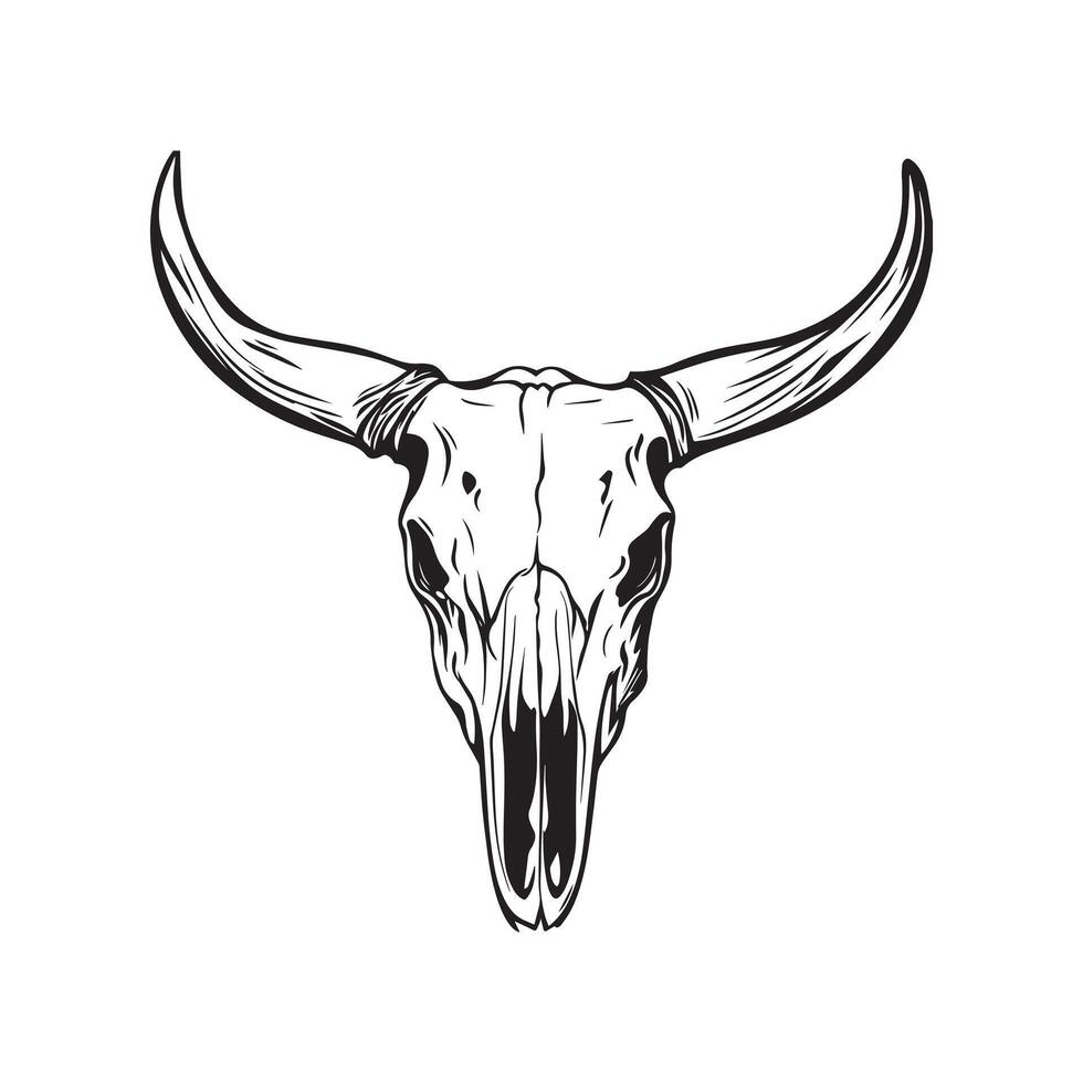Rustic Longhorn Cow Skull Artwork Design vector