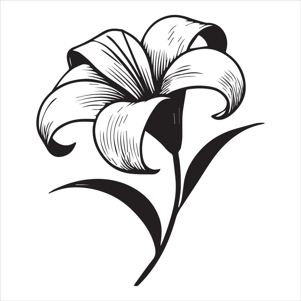 Vintage Lily Flower Illustration Clipart Design vector