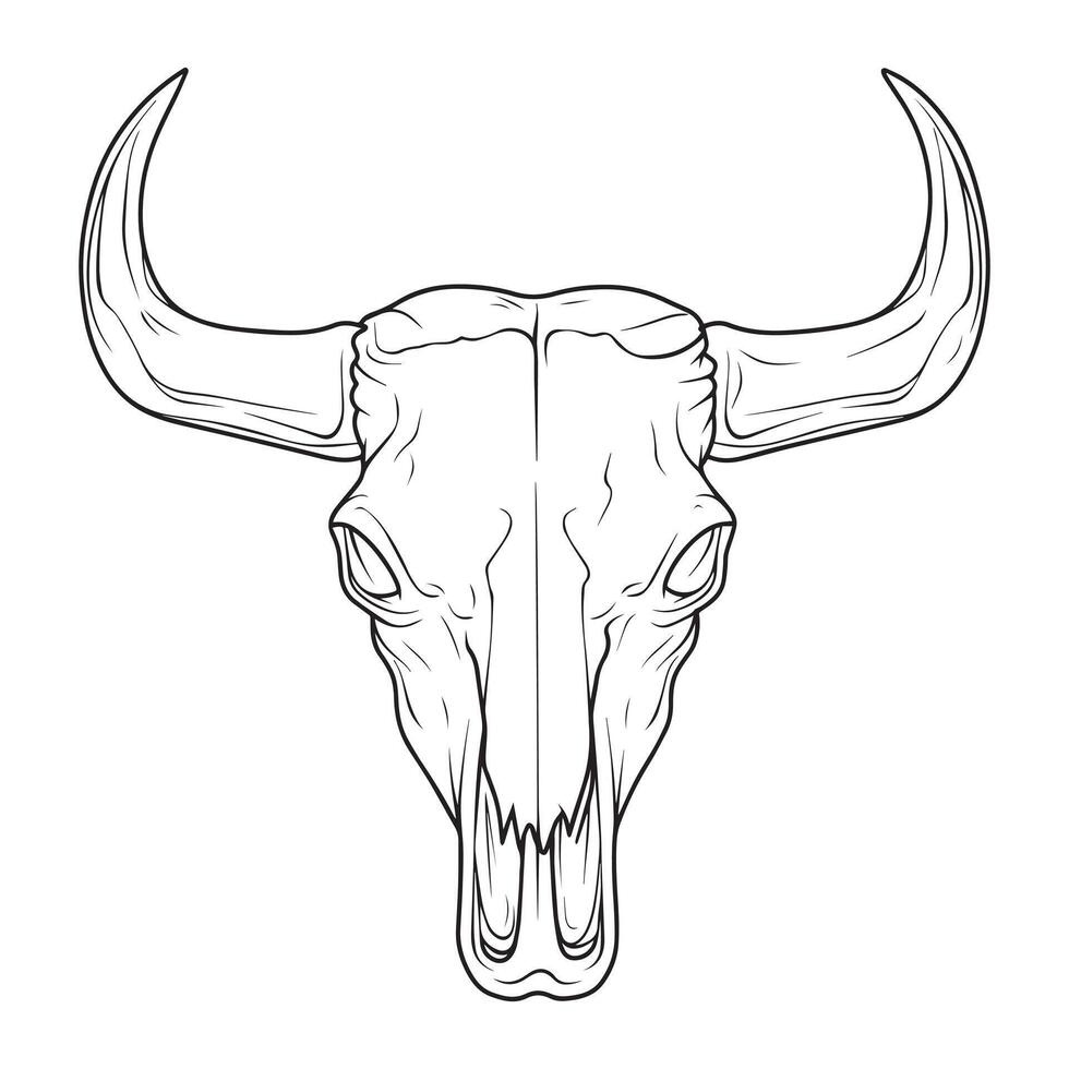 Longhorn Cow Skull with Intricate Details vector