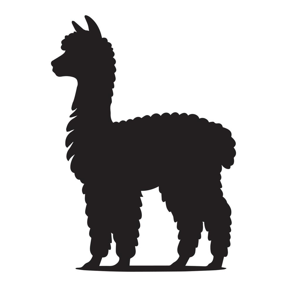 Stylish Lama Silhouette and Alpaca Illustration vector