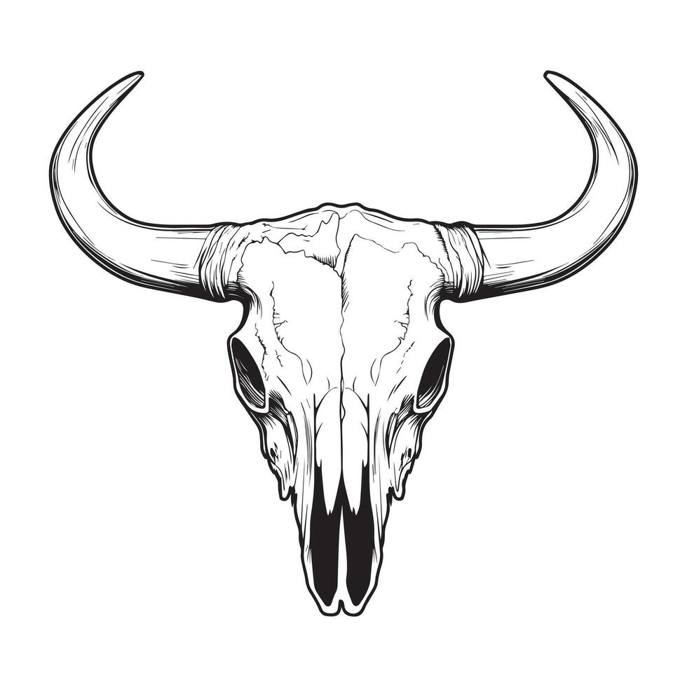 Abstract Longhorn Cow Skull Sketch Design vector