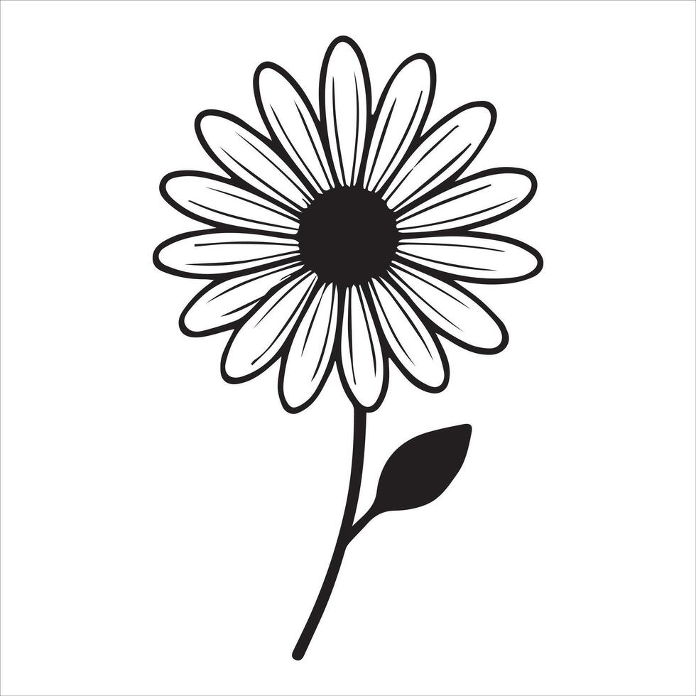 Botanical Common Daisy Flower Line Art for Prints vector