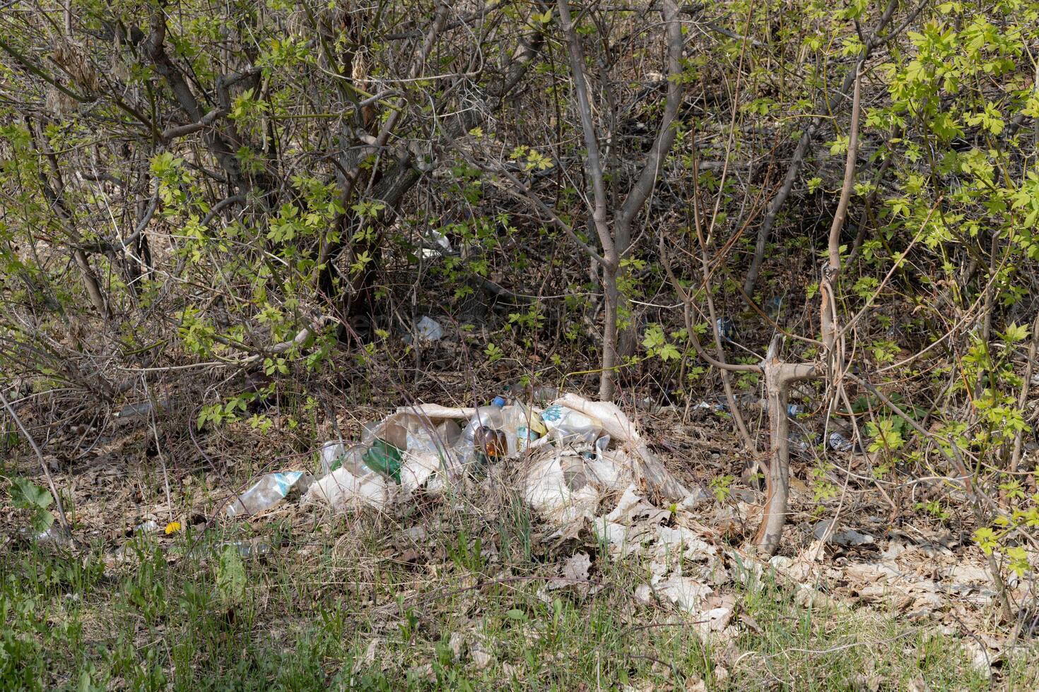 Garbage dump in the forest. Garbage in the forest.Environmental pollution concept. photo