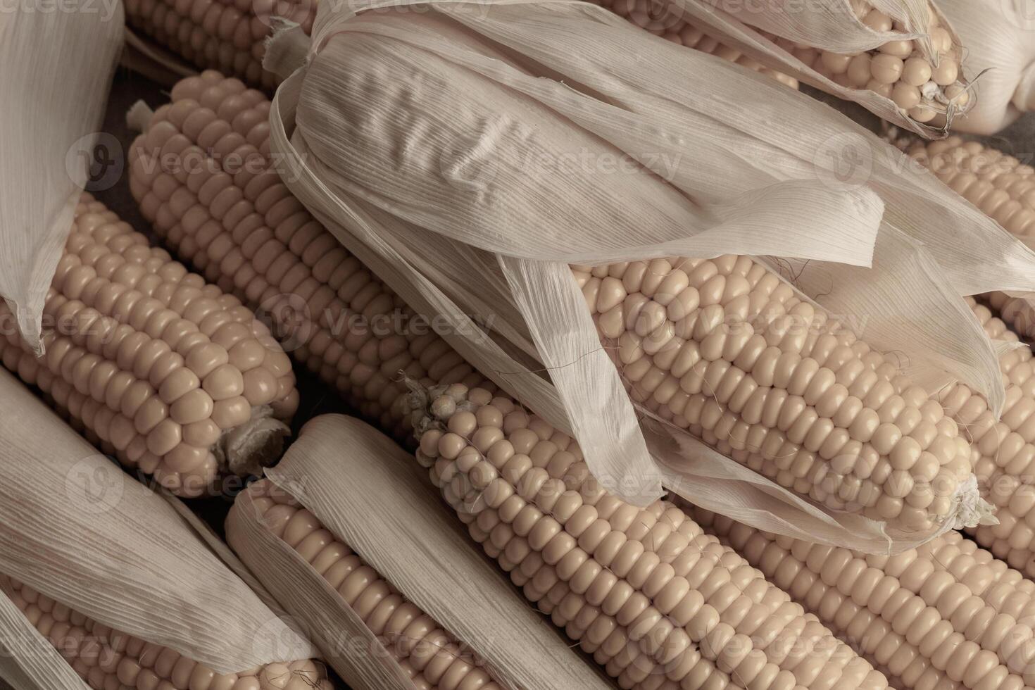 Ripe yellow corn grains close-up, brightened color photo