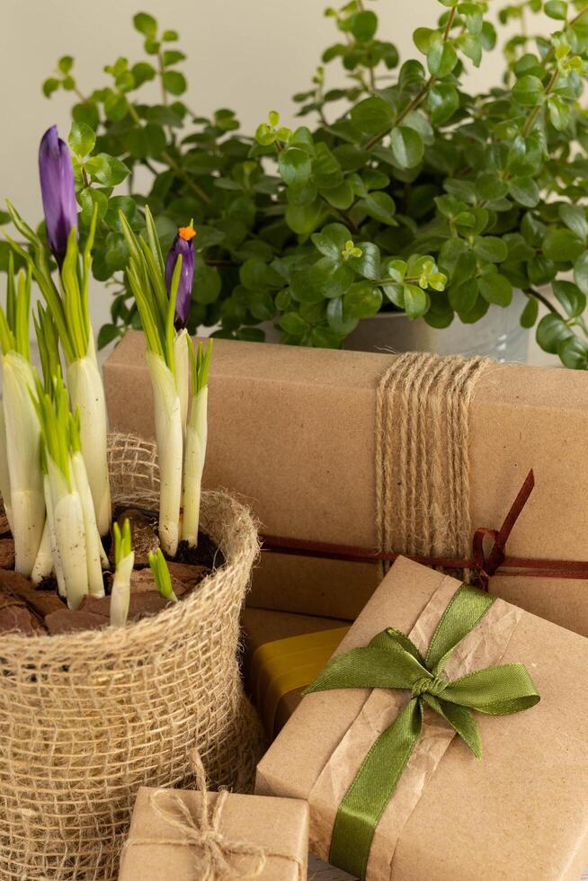 Gifts in brown craft paper, houseplants photo