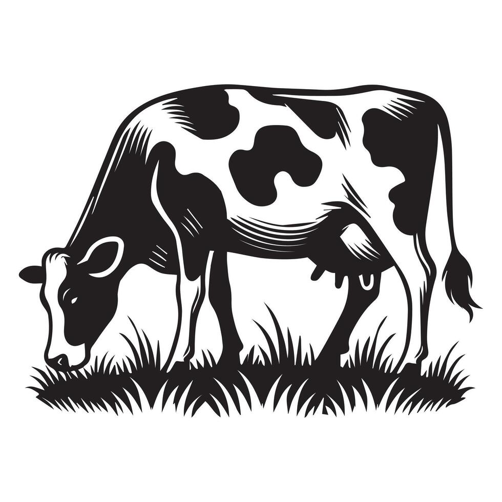 Holstein Friesian Illustration Design in Bold Black and White vector