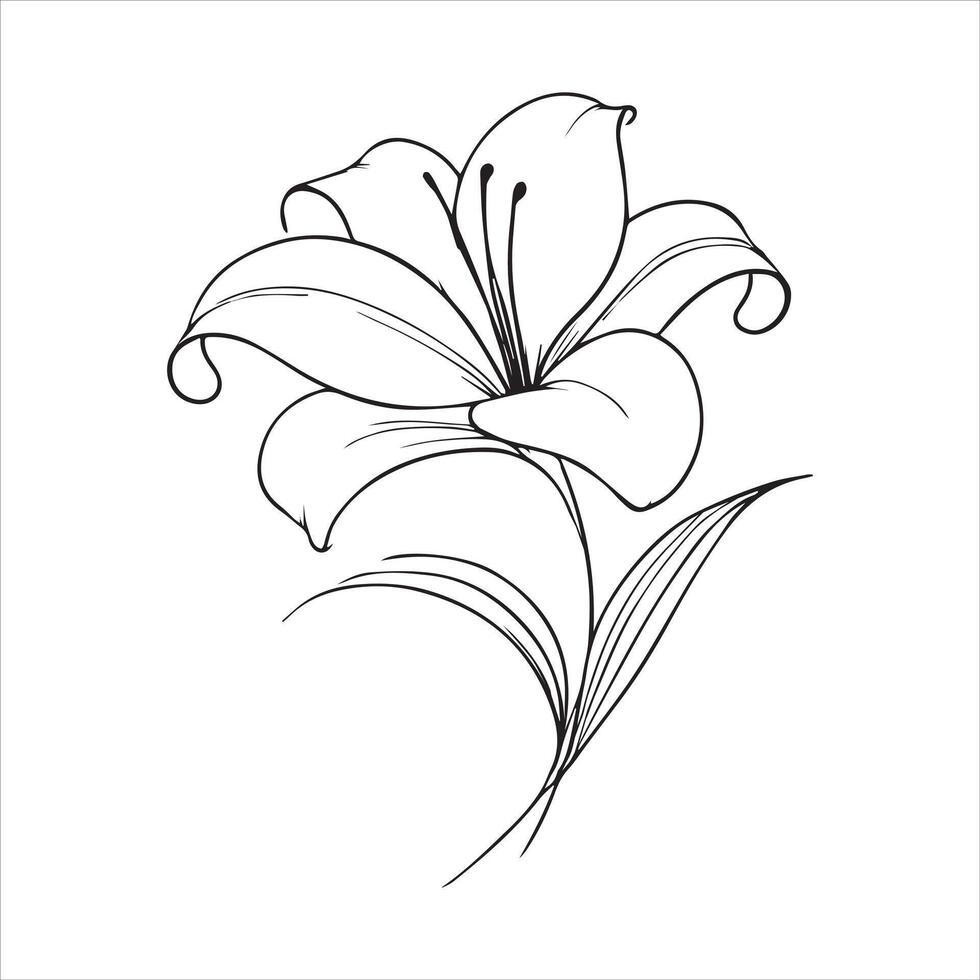 Elegant Lily Flower Illustration Clipart Design vector