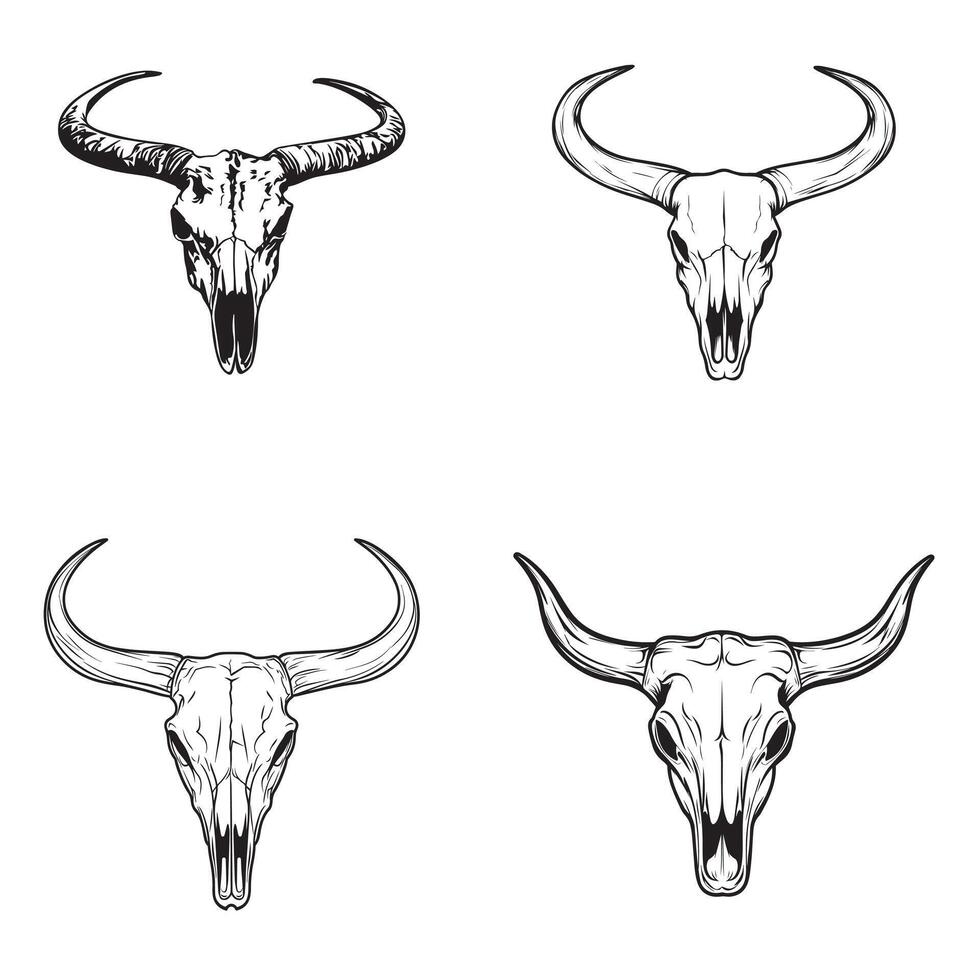Rustic Longhorn Cow Skull Drawing Set vector