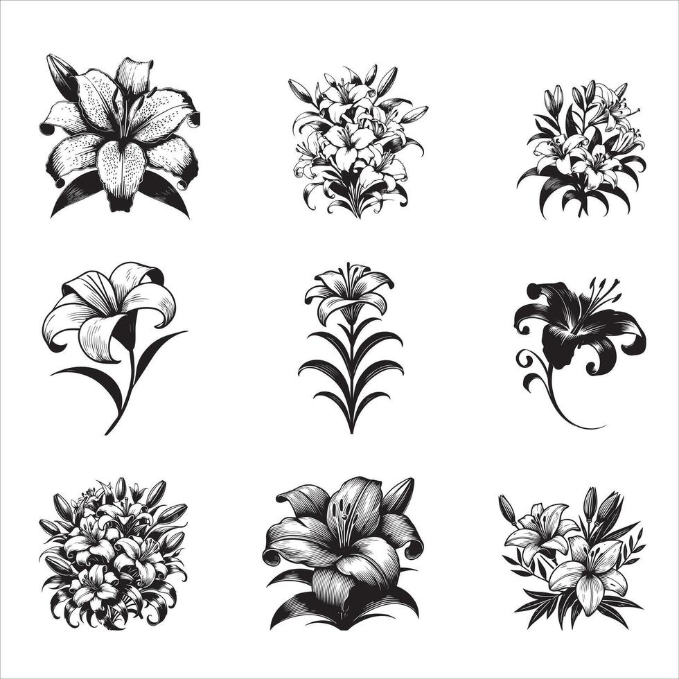 Floral Lily Bloom Design Bundle vector