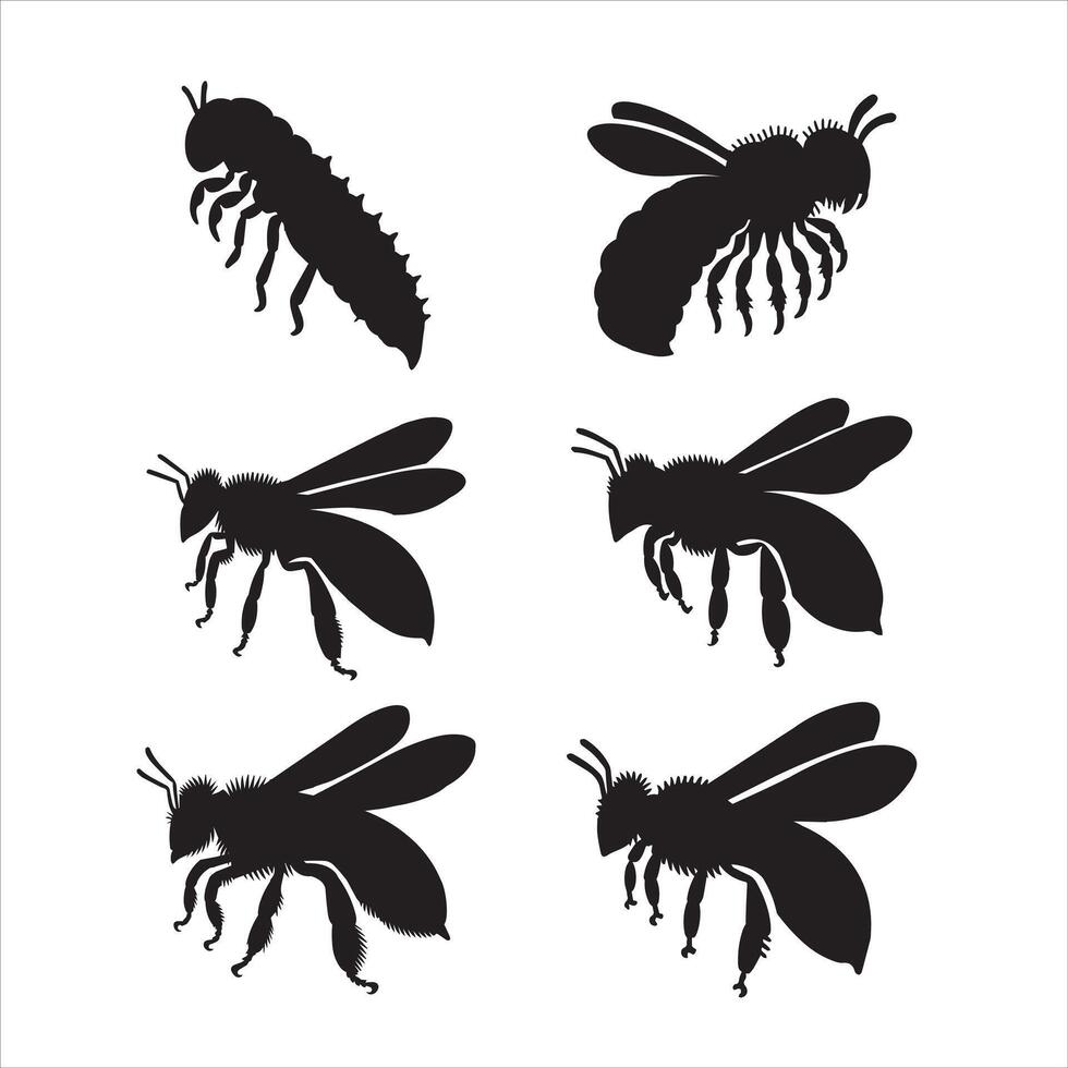 Modern Bee Honey Illustration Design Bundle vector