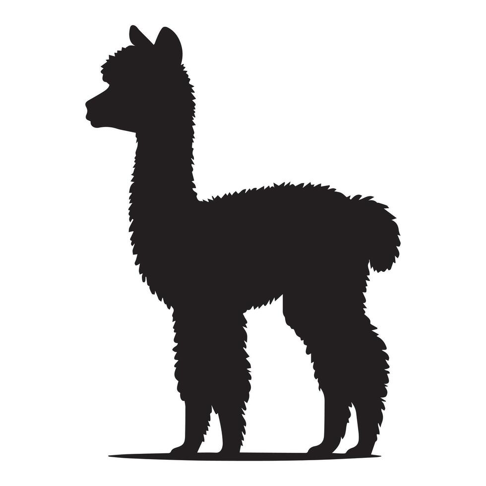 Unique Lama and Alpaca Silhouette Graphics vector
