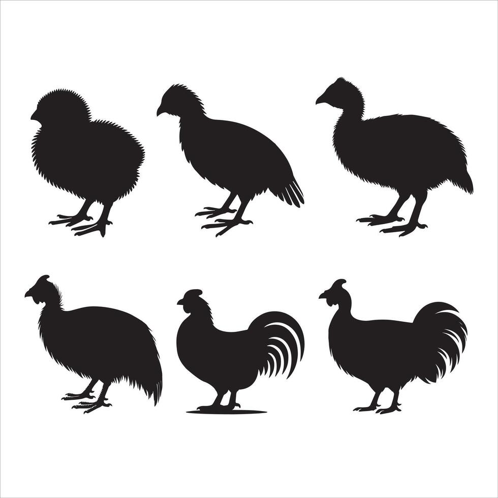 Guinea Fowl Bird Silhouette Illustration in Minimalist Style Bundle vector