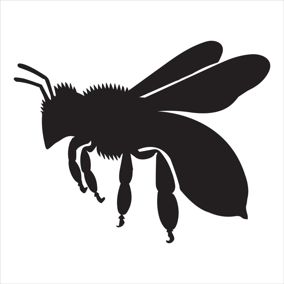 Beautiful Bee Honey Illustration Design vector