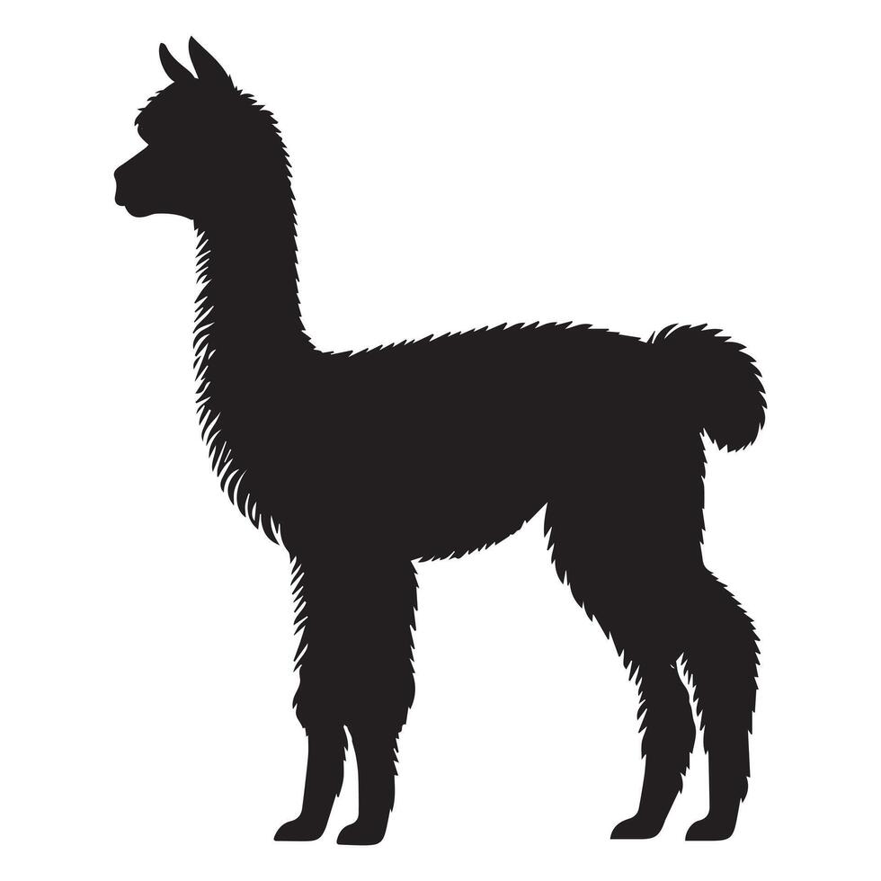 Alpaca Silhouette Illustration Lama Silhouette Design vector