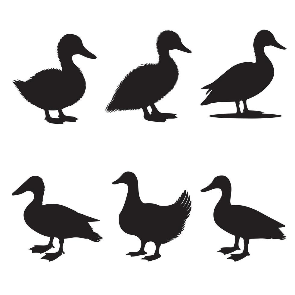 High-Quality Domestic Duck Silhouette Artwork Bundle vector