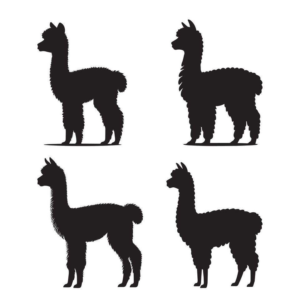 Artistic Alpaca and Lama Silhouette Design Bundle vector
