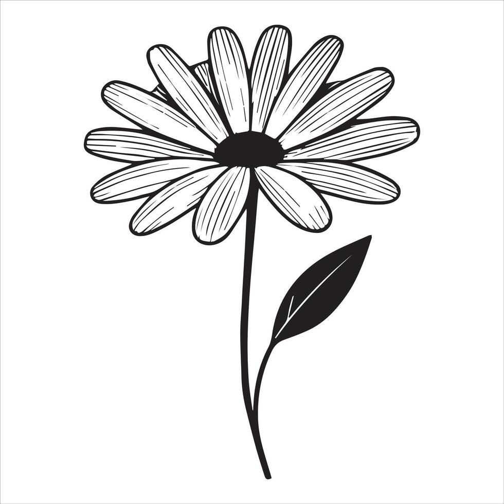 Delicate Common Daisy Flower Drawing in Minimalist Style vector