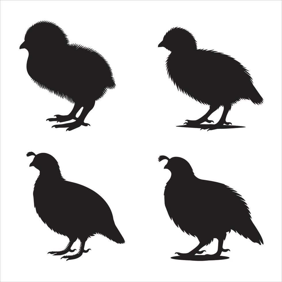 Quail Silhouette Nature-Inspired Illustration Design Bundle vector