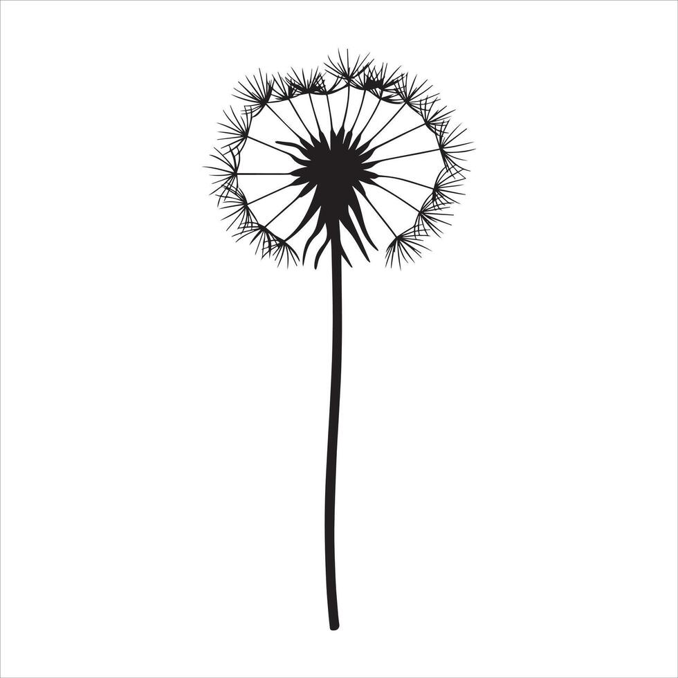 Abstract Dandelion Silhouette Graphic Design vector