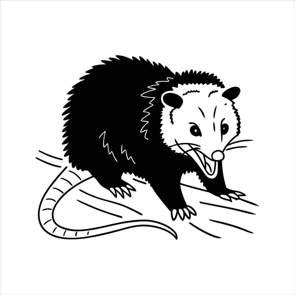 A detailed illustration of an opossum vector