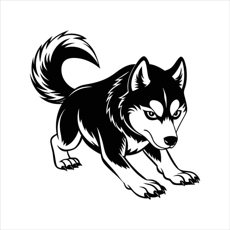 Siberian Husky Dog Position vector
