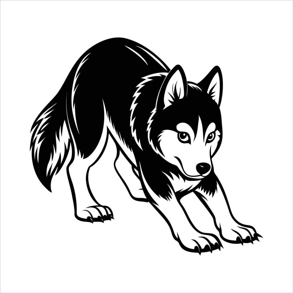 Siberian Husky Dog Position Vectors. vector