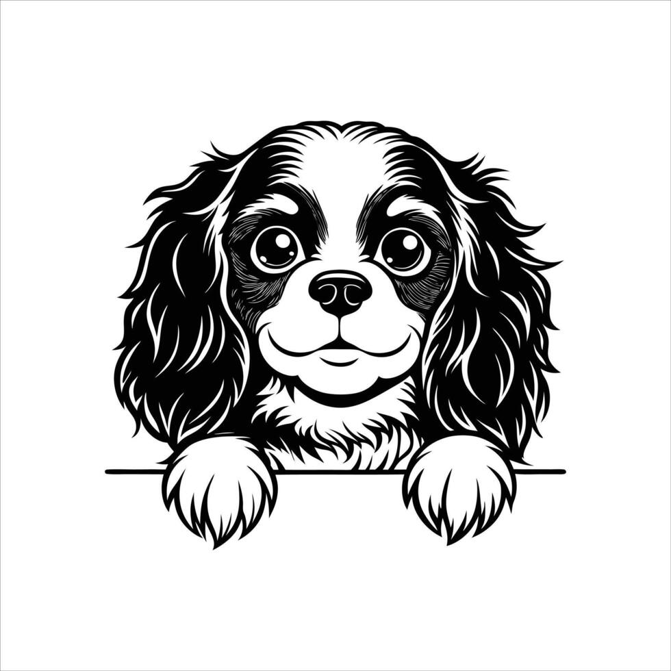 Cavalier King Charles Spaniel Dog peeking face Black and White vector