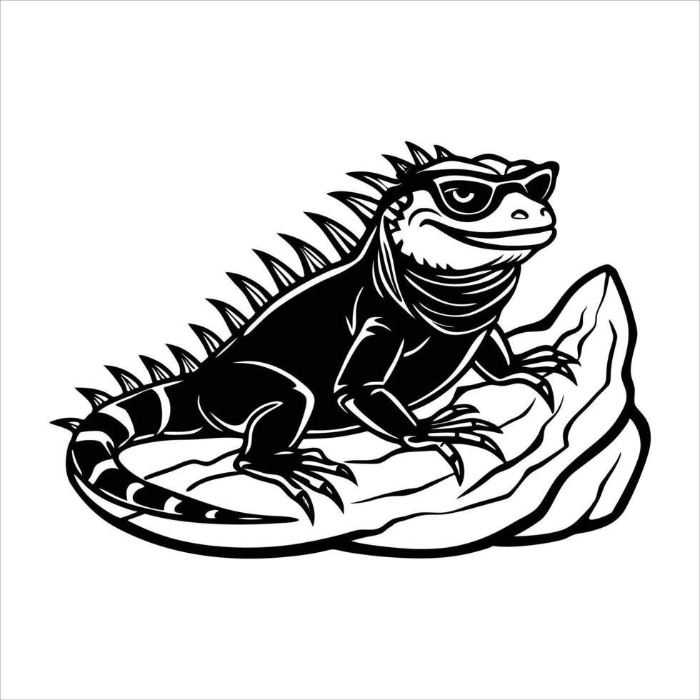 Closeup Photos and Images vector