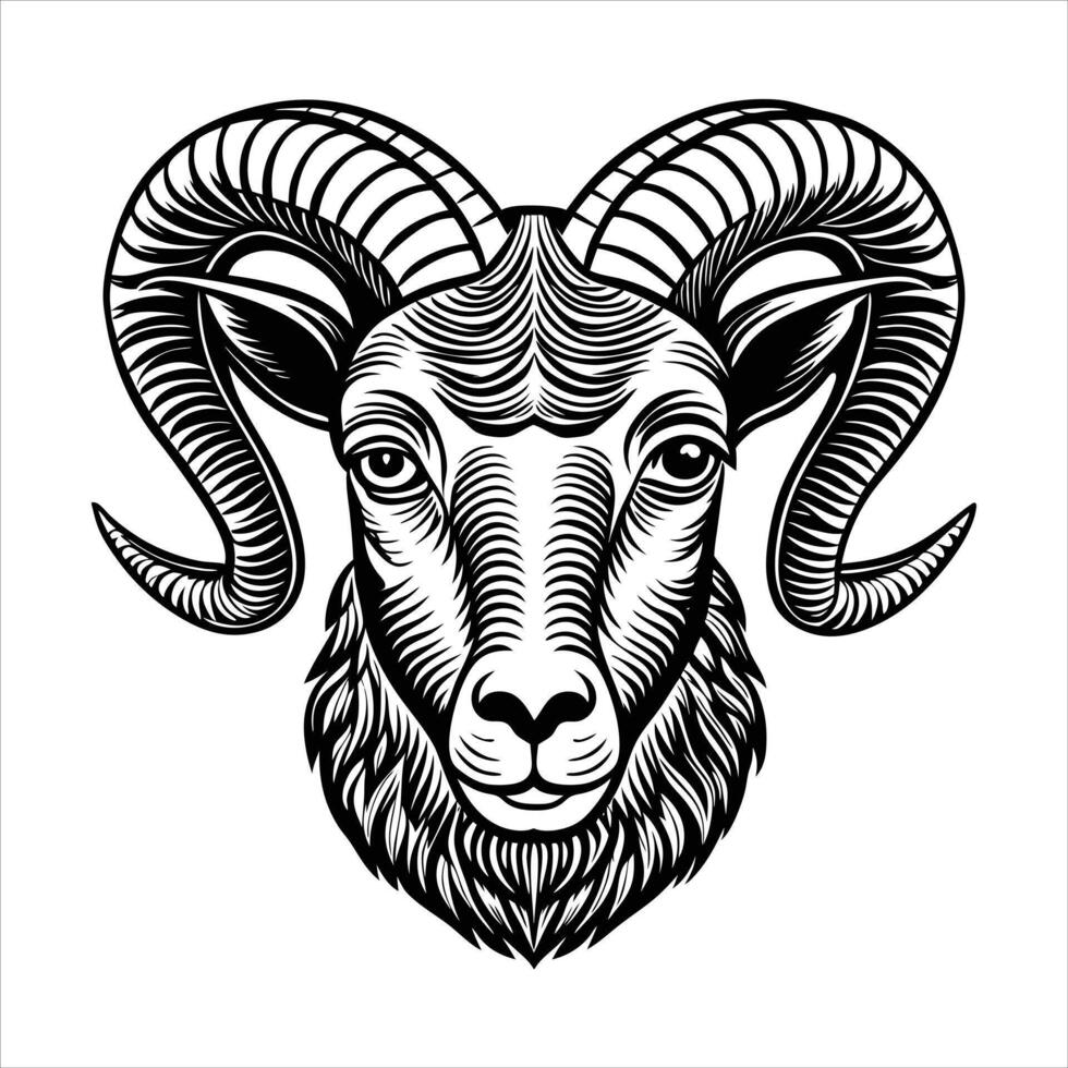 Year of the Goat. vector