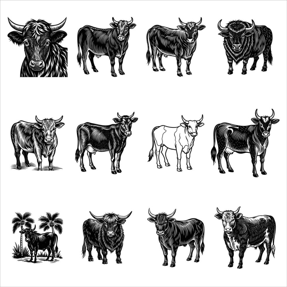 Collection of Cow Standing vector