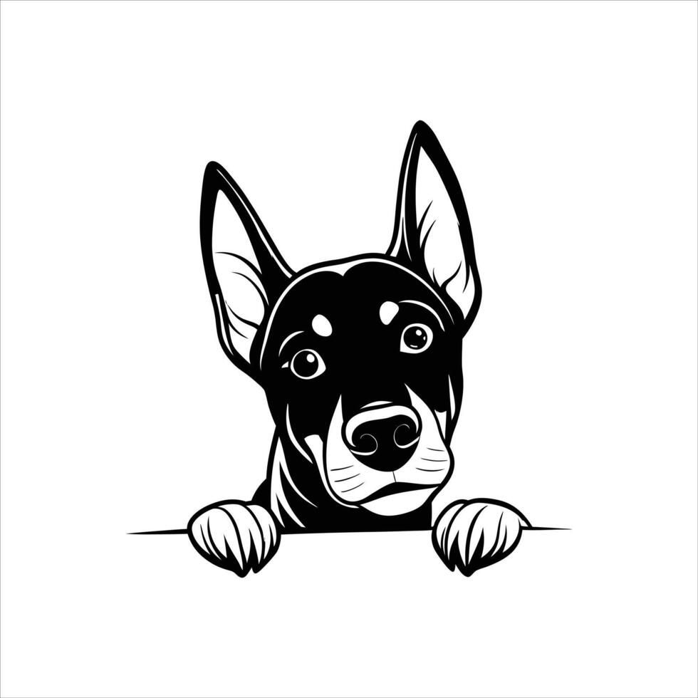 Doberman Dog peeking face Black and White vector