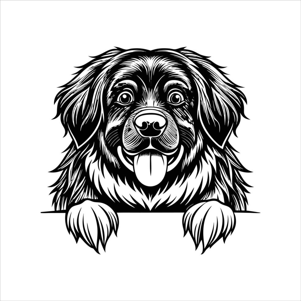 Newfoundland and Labrador Dog peeking face Black and White vector