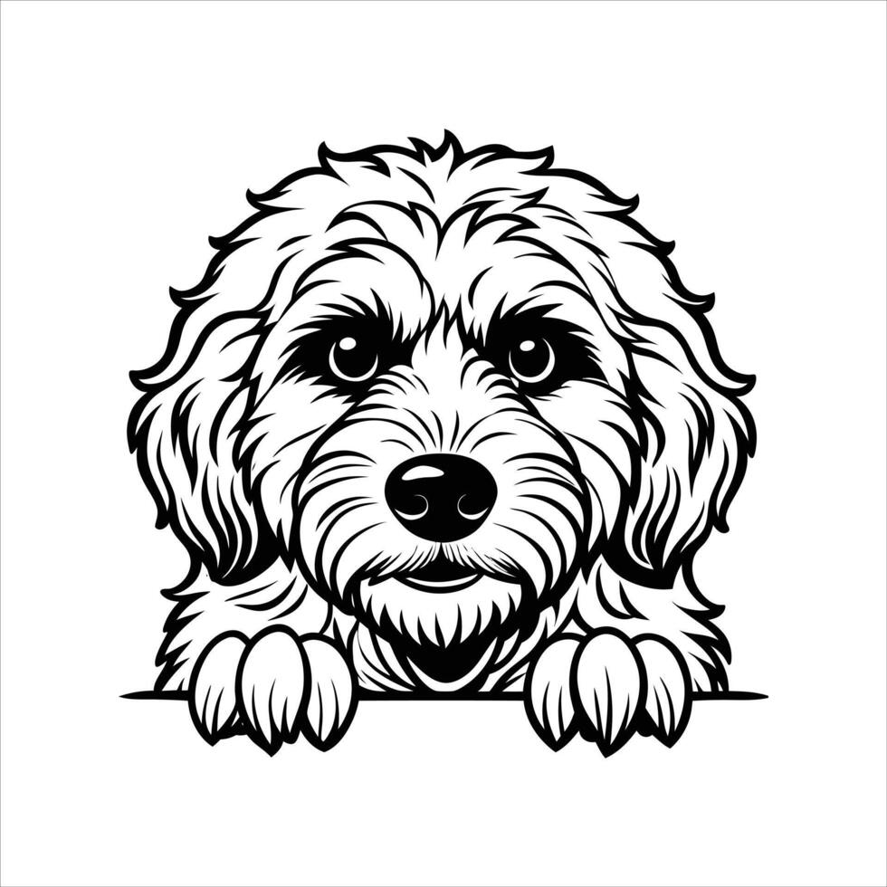Goldendoodle Dog peeking face Black and White vector