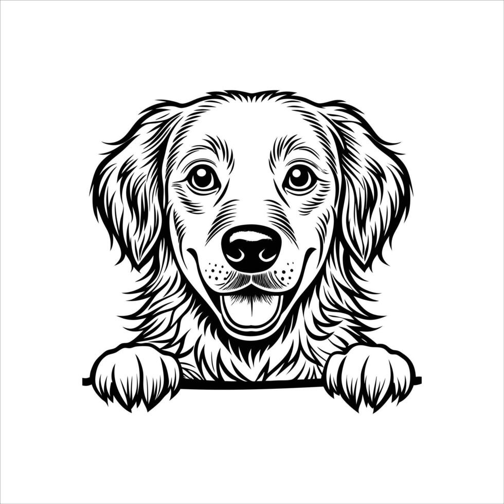 Golden Retriever Dog peeking face Black and White vector