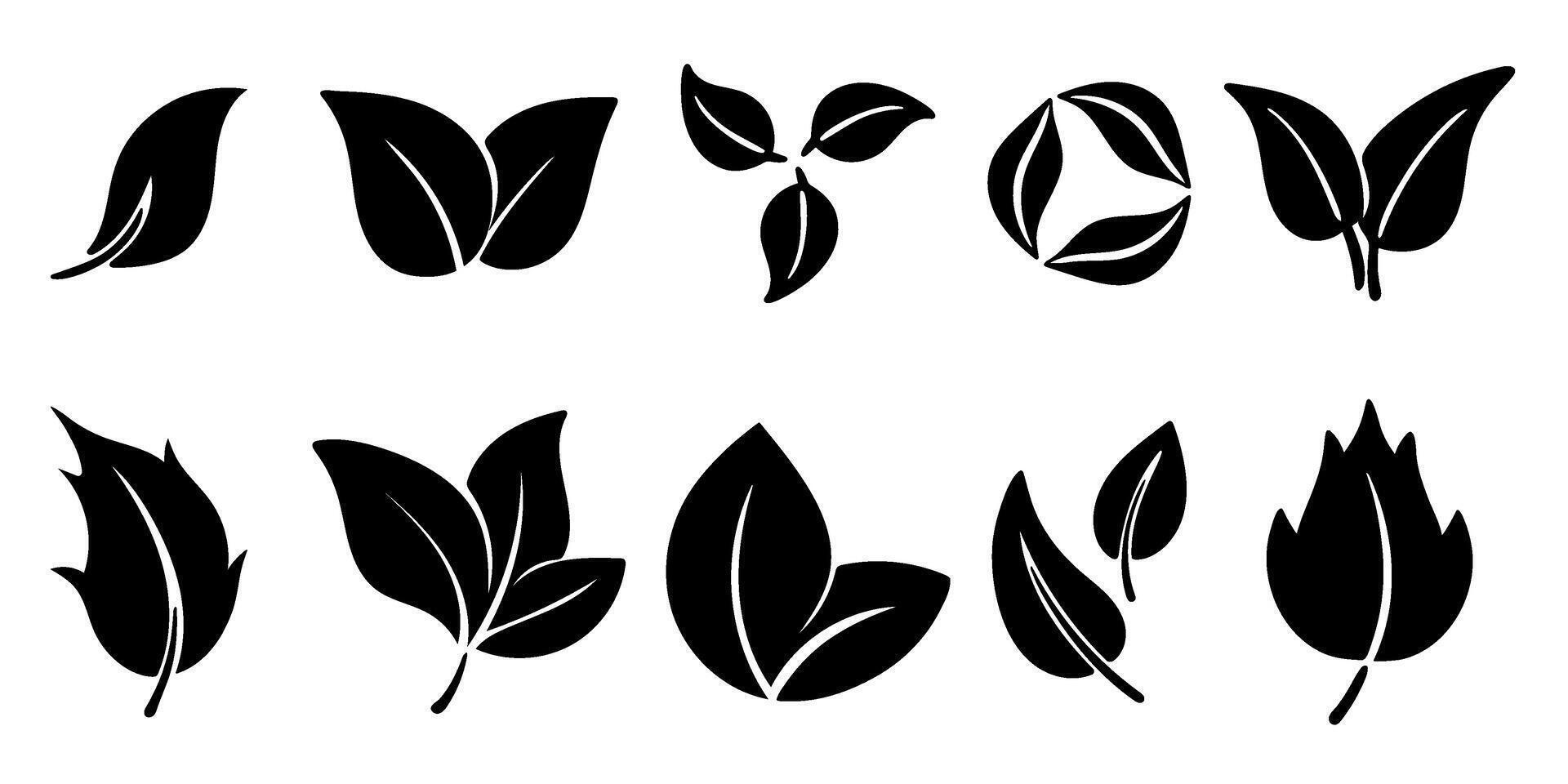 Black silhouette leaves set graphics vector