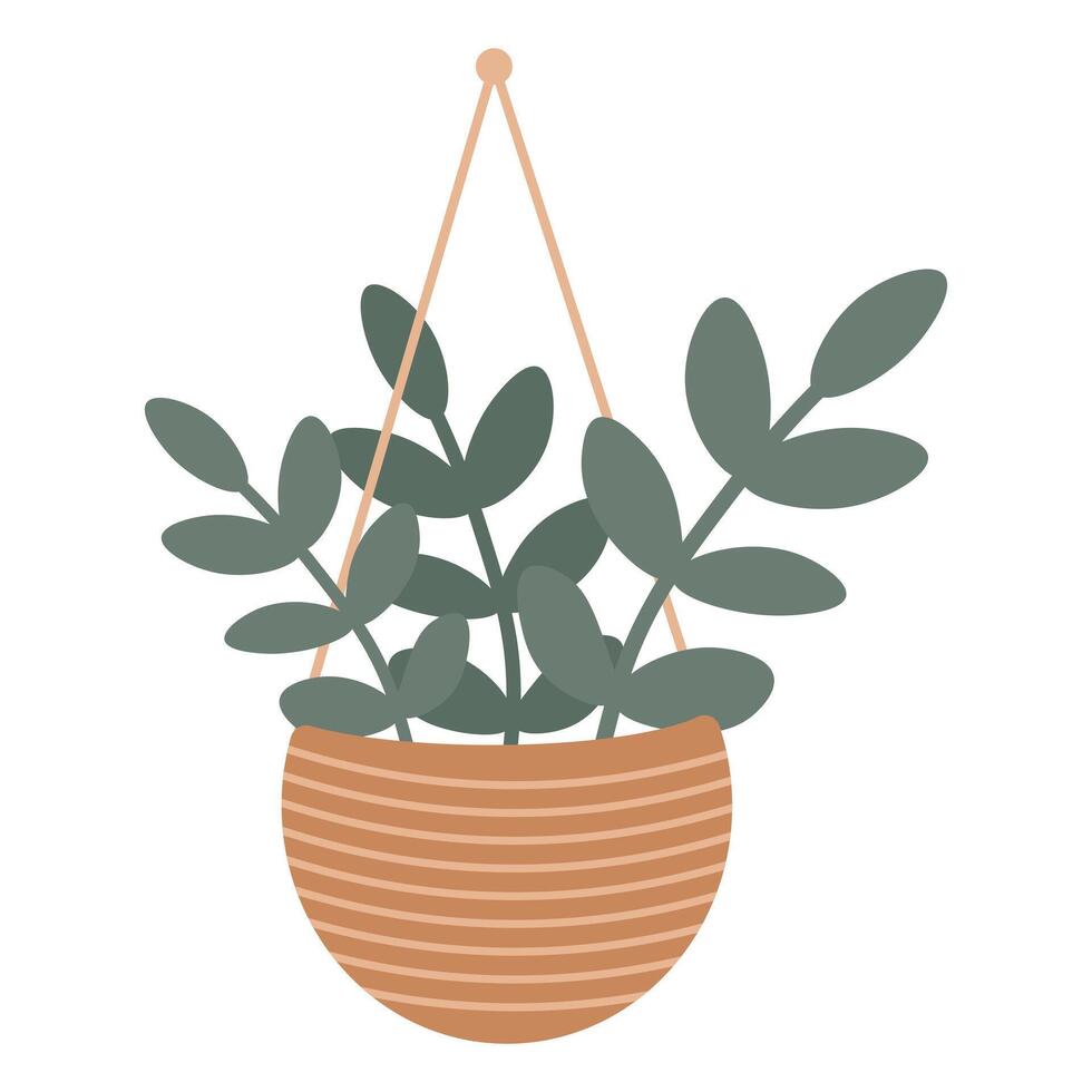 Plant in a hanging pot vector