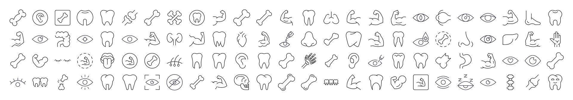 Bundles, Eye, Tooth, Muscle, Internal Organs Images Drawn with Thin Line. Collection of Various Design Elements that Can Be Used for Apps, Articles, Web Sites, Social Media vector