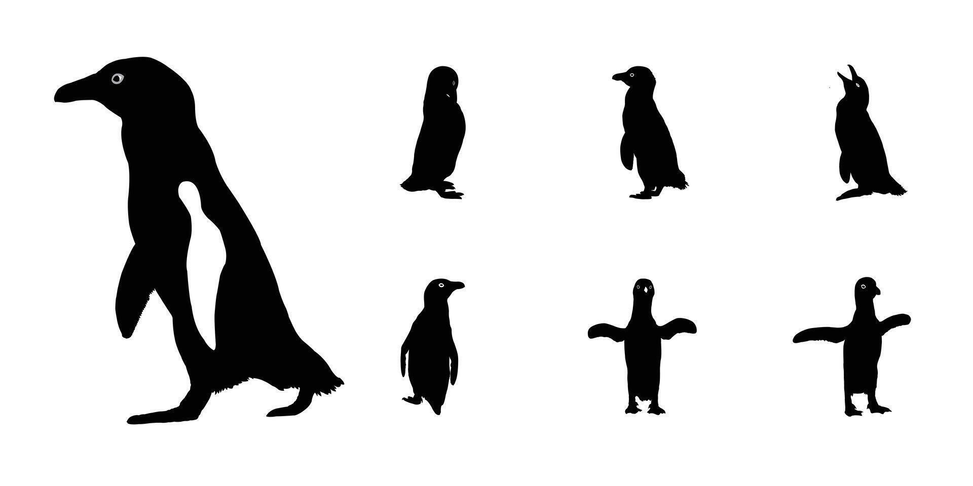 Simple Black Penguin Silhouettes in Various Poses. Penguin drawing, Penguin icon, Penguin silhouette, Penguin . vector