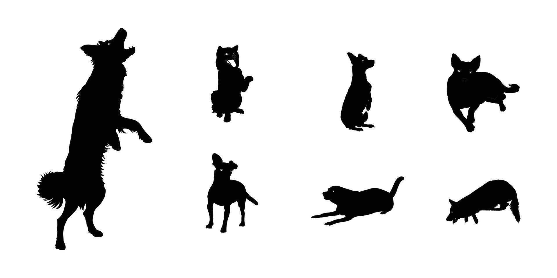Silhouettes of Dogs in Various Poses. Dog silhouette, Dog , Dog icon. Dog drawing. vector