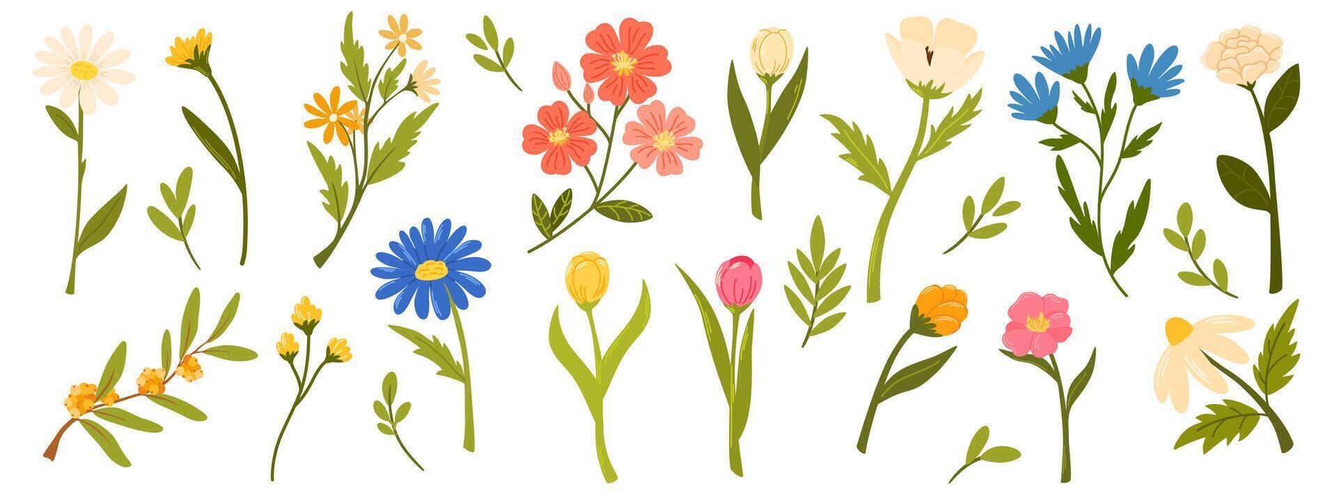 Flower collection with leaves, floral bouquets. flowers. Spring art print with botanical elements. Happy Easter. Posters for the spring holiday. Icons isolated on white background. vector