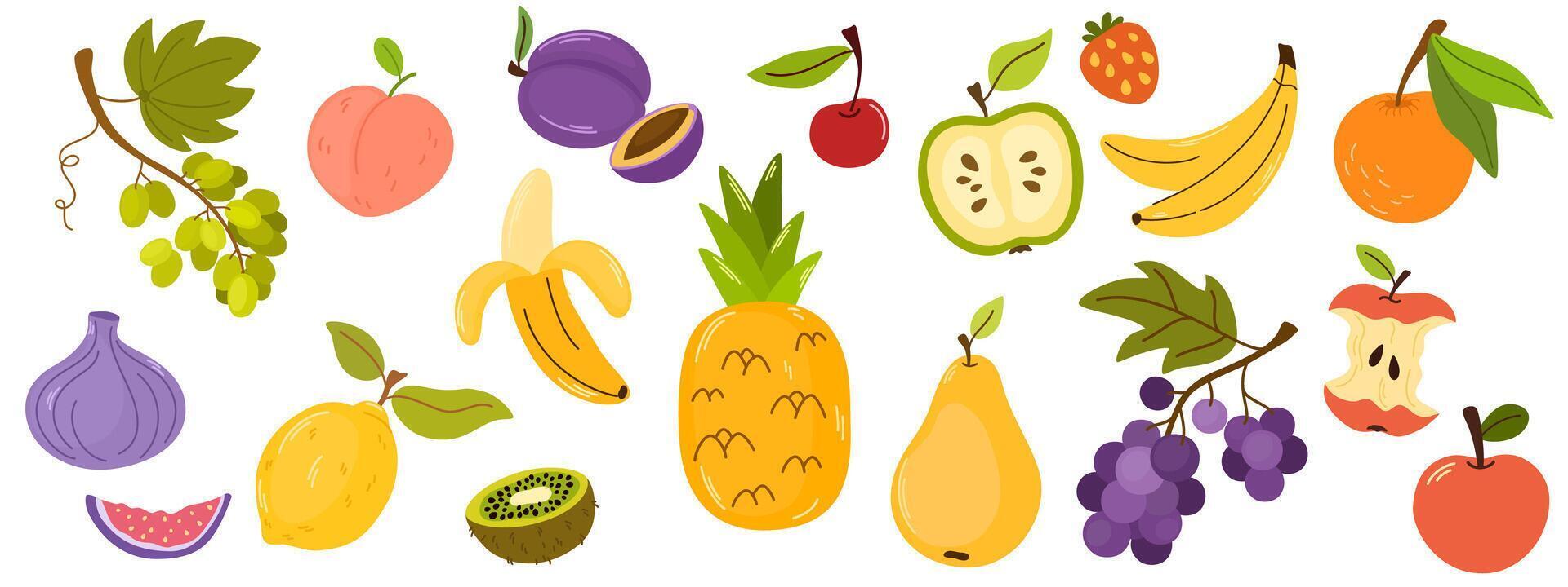 Doodle fruits. Natural tropical fruit citrus orange and vitamin lemon, apple, peach, cherry, strawberry, pineapple. Organic fruits or vegetarian food. isolated hand draw illustration set vector