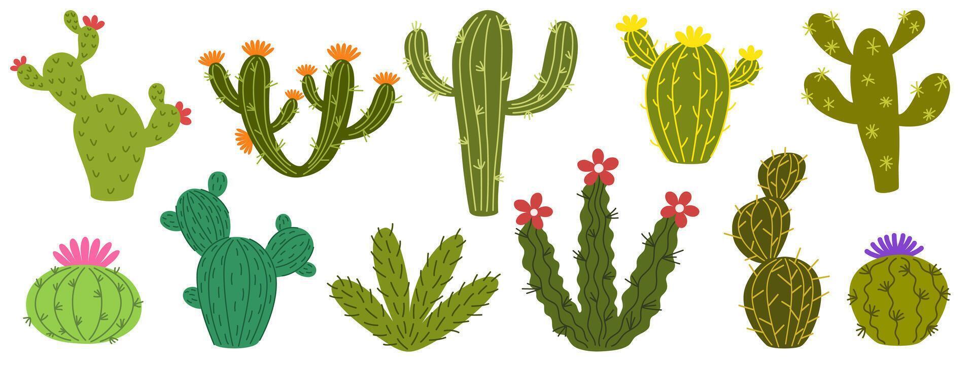 Cactuses. Desert plant, Mexican cacti flower, aloe, succulent. Cartoon decorative gardening cactus, home plants, summer Mexico nature plants. Exotic botanical spiny elements. illustration vector