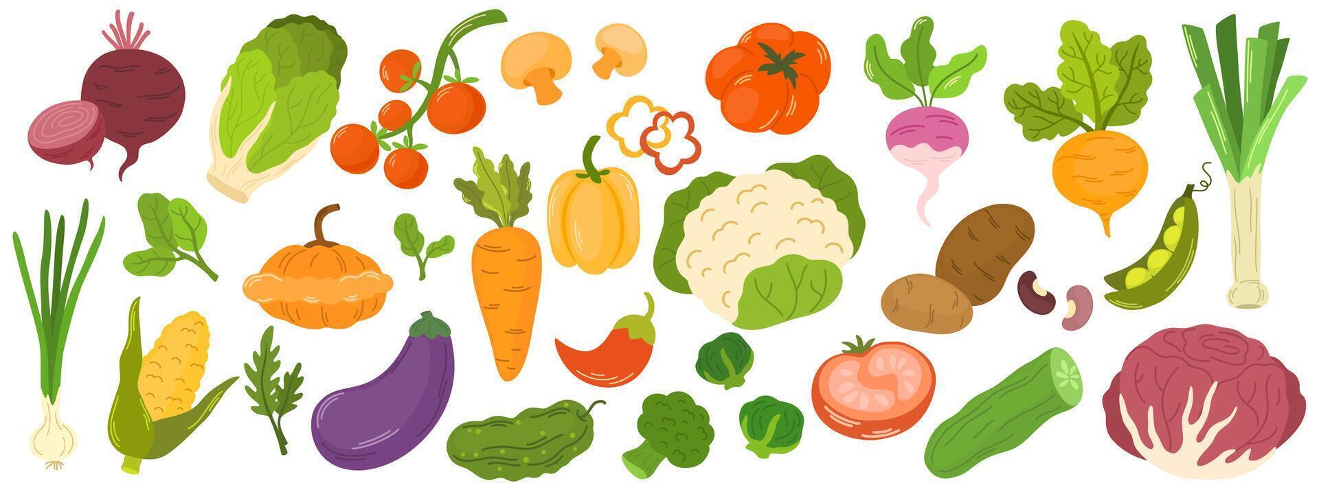 Vegetables set. Healthy organic food. Tomatoes, onion, zucchini, eggplant, leek, potatoes, corn, peppers, beet. hand draw illustration isolated on white background. vector