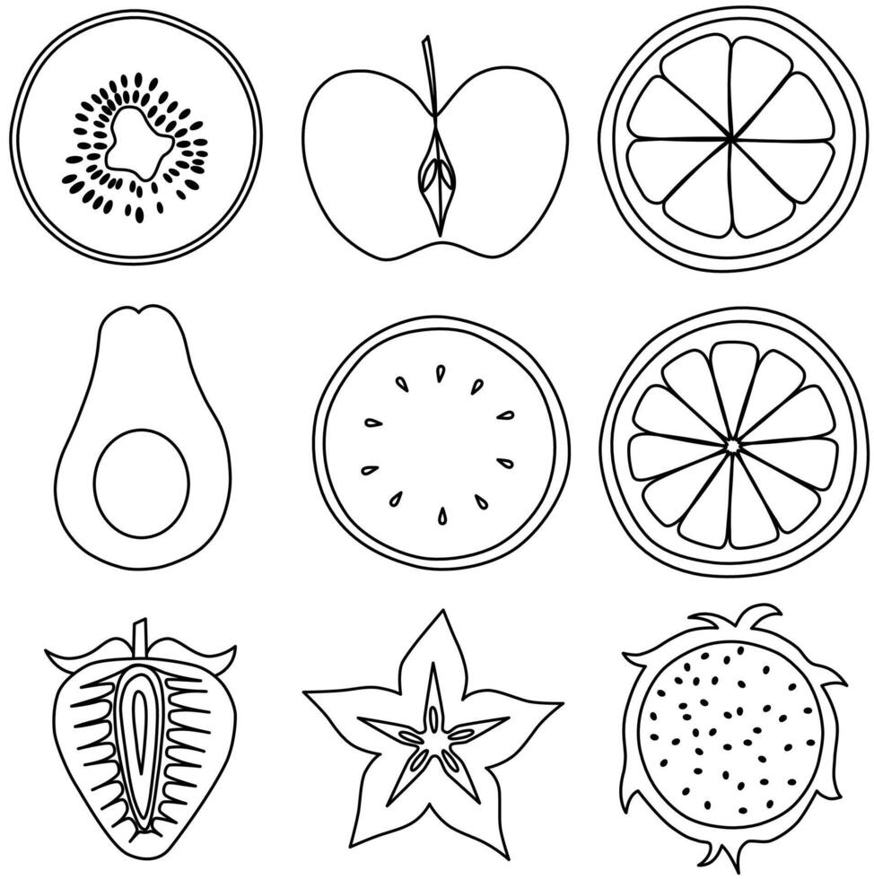 Set of slices fruit line art vector
