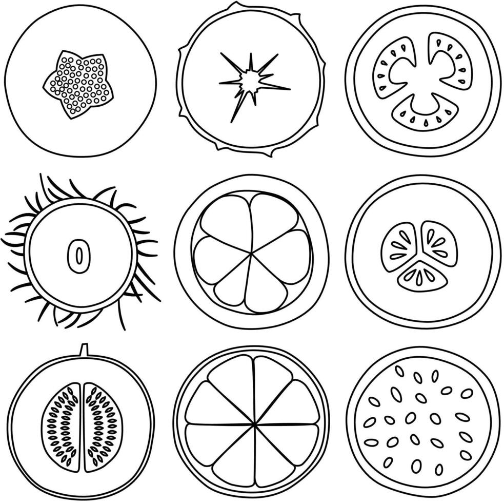 Black and white line art slices fruit for coloring book vector