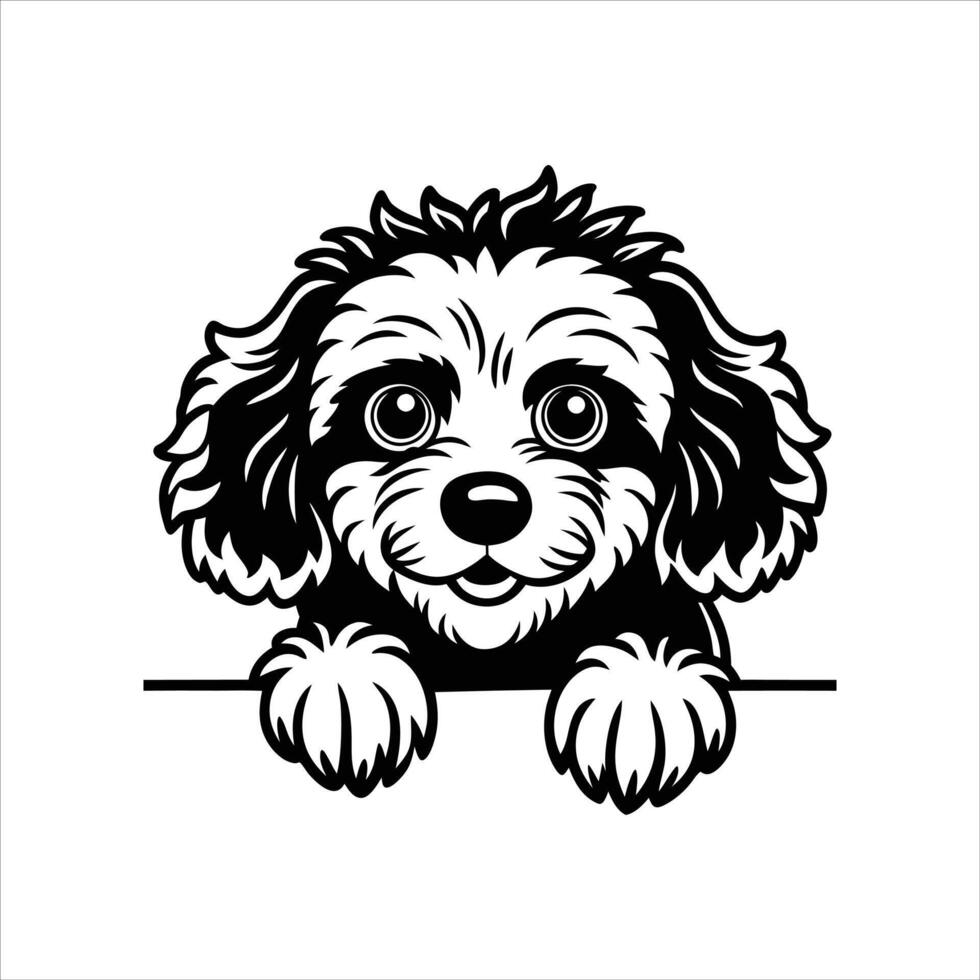 Poodle Dog peeking face Black and White vector
