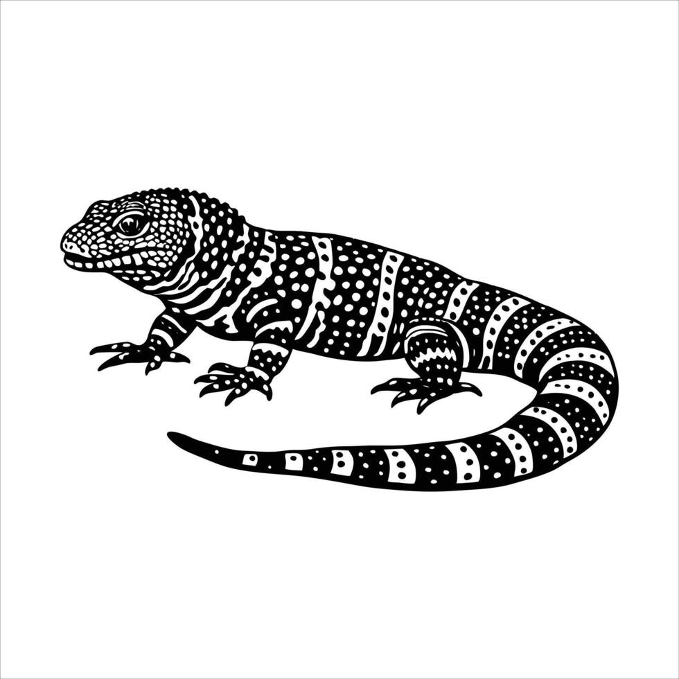 Gila Monster Walking. vector