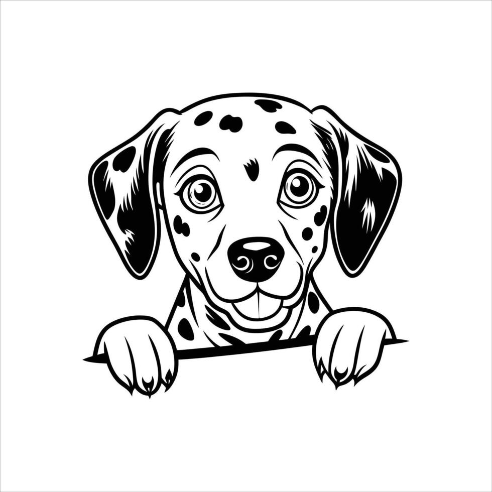 Dalmatian Dog peeking face Black and White vector
