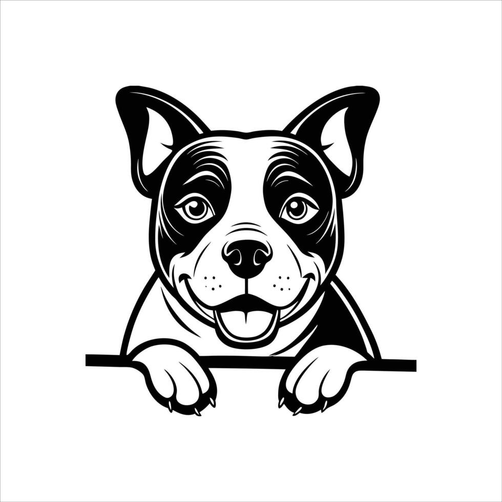Pit bull peeking face Black and White vector