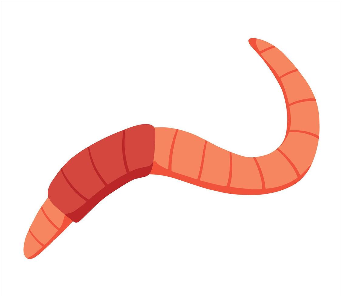 Worm bait. Cartoon earth creep. Cartoon insect animal. Invertebrate bug. Slimy earthworm crawler vector